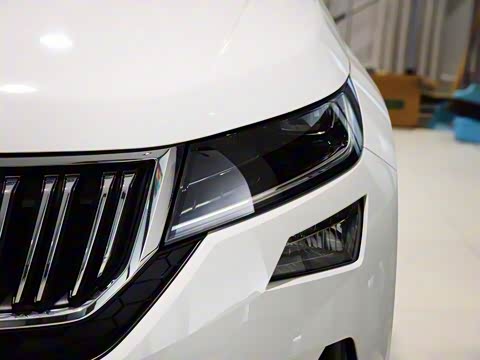 2019�� TSI330 ���������� ��VI