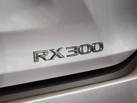 2020�� 300 �������Ű� ��VI