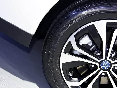 2019�� ������������