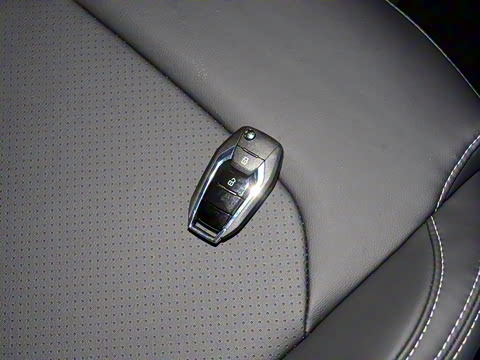 2021�� 2.0T �Զ���Ӣ�� ���� 7��