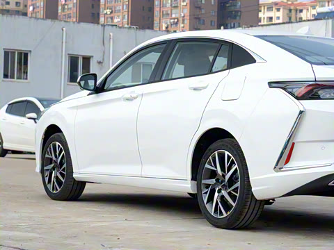 2020�� 230T �Զ��ſ�������