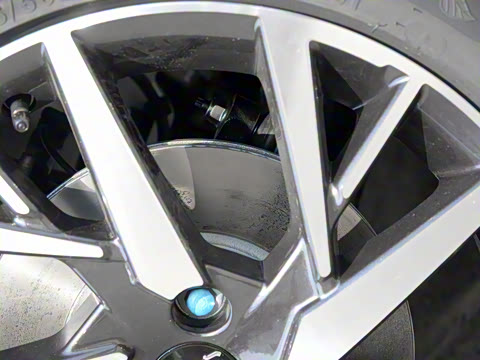 2020�� 230T �Զ��ſ�������