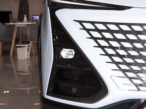 2022�� 2.0T �˶��� �캽��