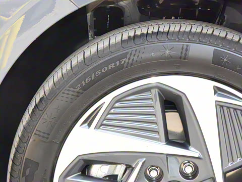 2021�� DLX�����