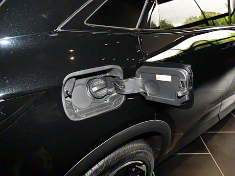 2022�� 45THP ¬����ذ�