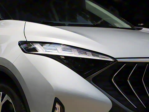 2020�� 1.6TGDI �Զ�������