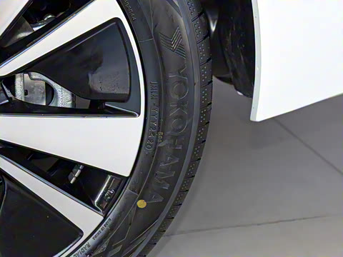 2020�� �Ŀ� 2.0L XL Upper ���а�