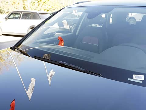 2020�� 45 TFSI ����������