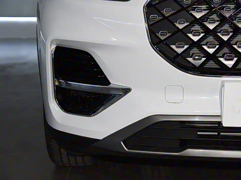 2021�� 290TGDI DCT���а�