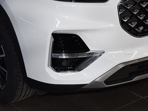 2021�� 290TGDI DCT���а�