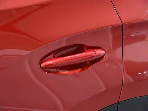 2019�� Ԧ����