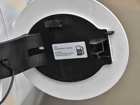 2019�� 2.0L ���������� ��VI