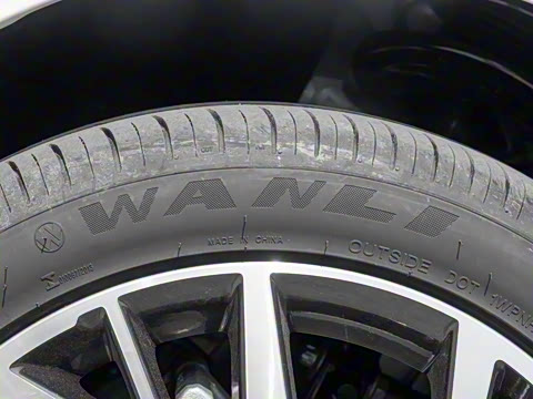 2020�� 230T �Զ��ſ�������