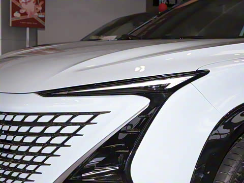 2022�� 2.0T �˶��� �캽��