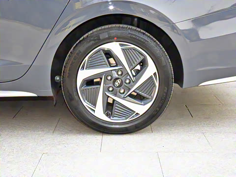 2021�� DLX�����