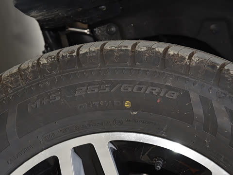 2022�� 3.0T �˶��� �Ƿ��� 5��