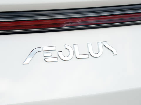 2020�� 230T �Զ��ſ�������