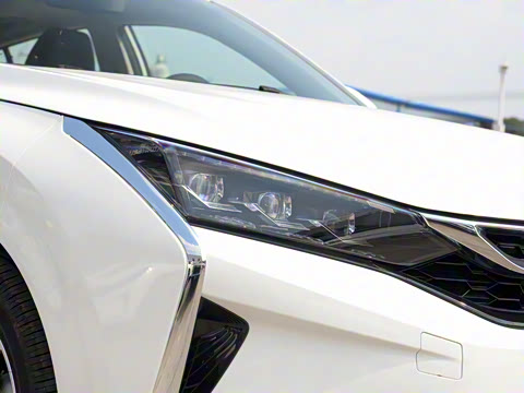 2020�� 230T �Զ��ſ�������