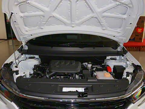 2021�� 1.5T �Զ�������