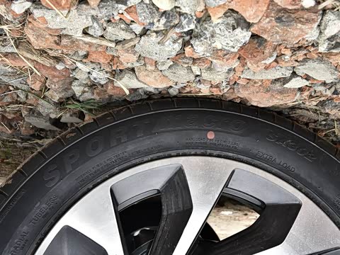 2020�� 230T �Զ�Խ���