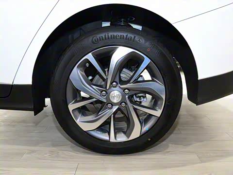 2019�� ����������