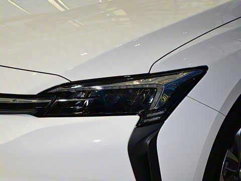 2019�� ����������