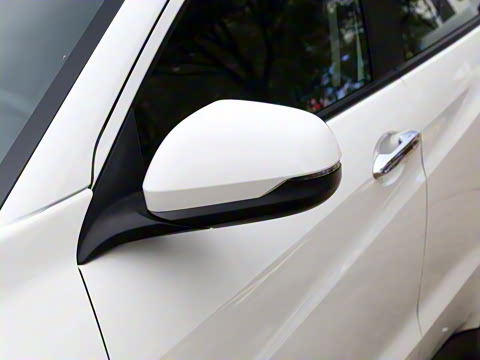 2021�� ���ʰ�