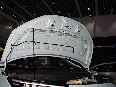 2022�� 70 �Ƽ��� �������