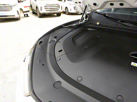 2022�� �������������