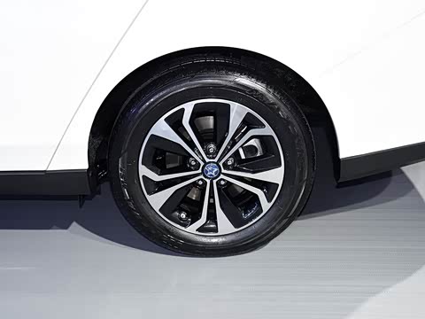 2019�� ������������