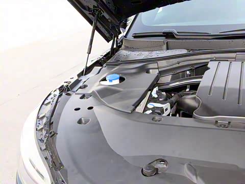 2020�� 3.0T V6 �������Ű�