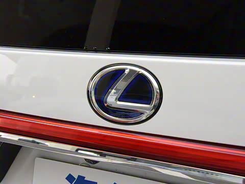 2020�� 300h ����������