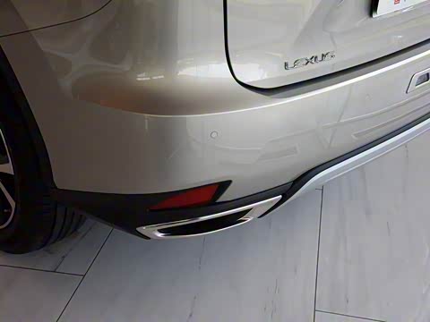 2020�� 300 �������Ű� ��VI