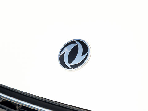 2020�� 230T �Զ��ſ�������