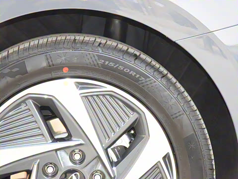 2021�� DLX�����