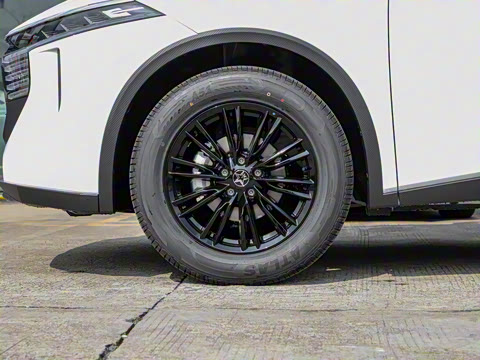 2023�� 260T ������ Pro