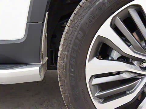 2019�� 30T ������������Ⱥ�����