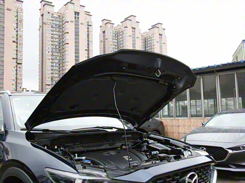 2022�� 2.0L �Զ�����������