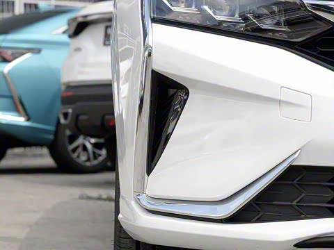 2020�� 230T �Զ��ſ�������