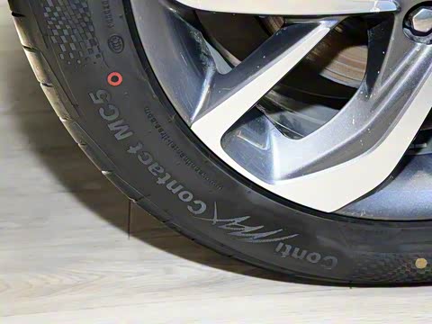 2019�� ����������