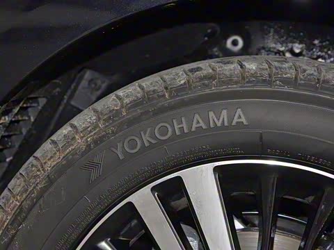 2019�� 2.0L �������