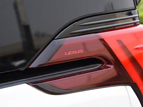 2020�� 300h ����������