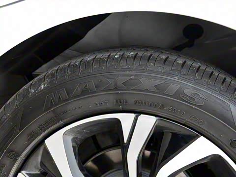 2020�� ��� RS 330T �Զ������