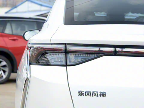 2020�� 230T �Զ��ſ�������