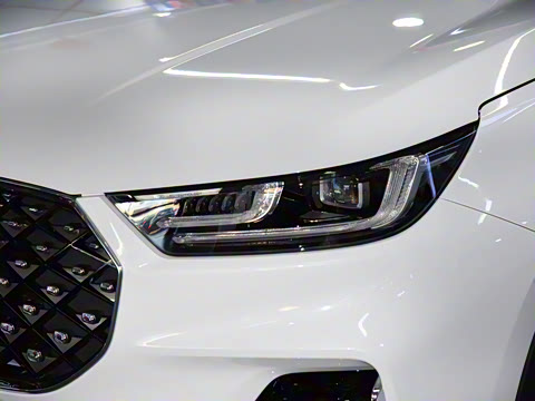 2021�� 290TGDI DCT���а�