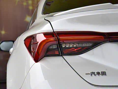 2019�� 2.5L ��ȡ�� ��V