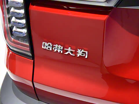 2020�� ��װ��