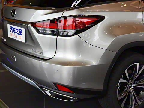 2020�� 300 �������Ű� ��VI