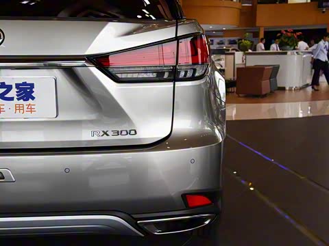 2020�� 300 �������Ű� ��VI