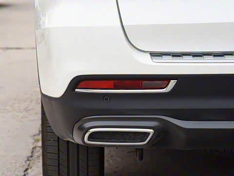 2019�� 30T ������������Ⱥ�����